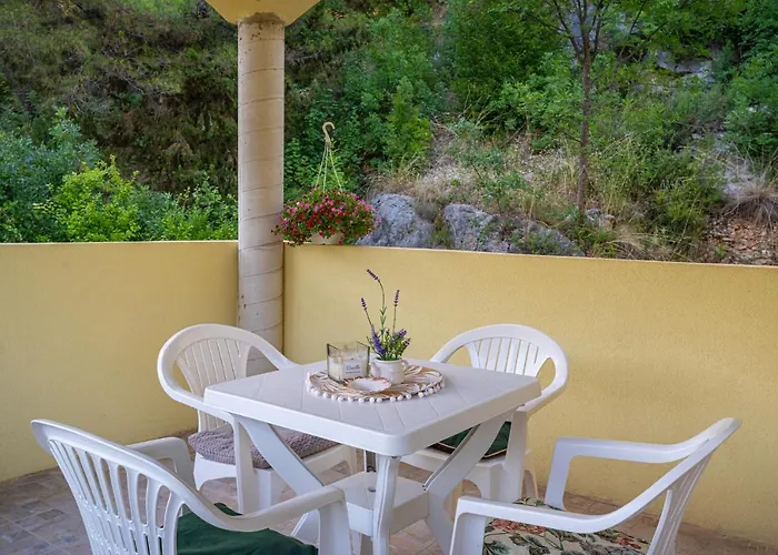 Apartmán Maris Novigrad (Dalmatia)