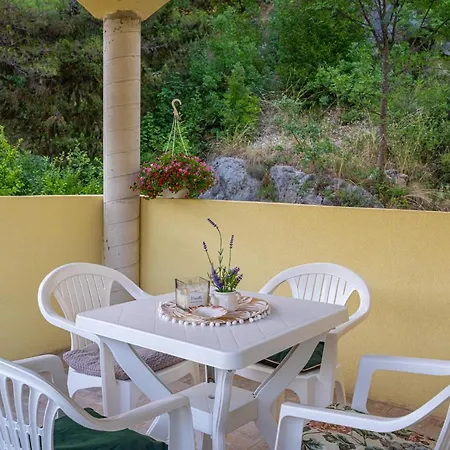 Apartment Maris Novigrad (Dalmatia)