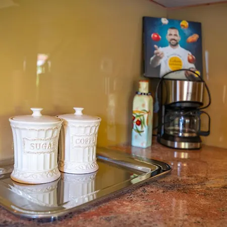 Apartment Maris Novigrad (Dalmatia)